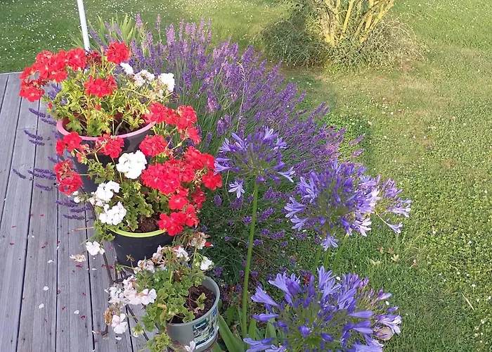 Repos Et Tranquillite M