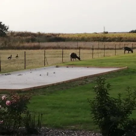 Repos Et Tranquillite M شقة *