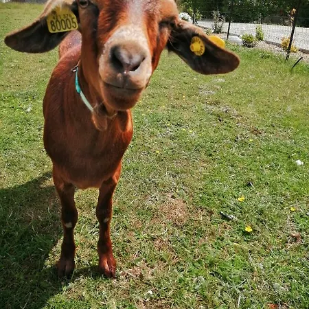 Repos Et Tranquillite M شقة كايو سور مير