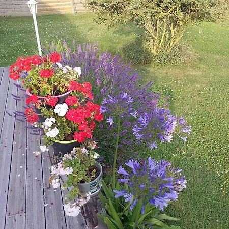 Repos Et Tranquillite M