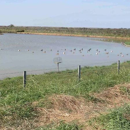 Repos Et Tranquillité M Apartamento Cayeux-sur-Mer