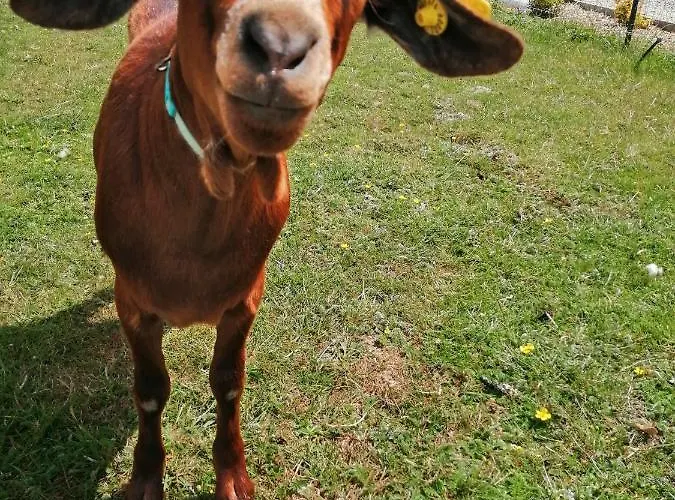 Repos Et Tranquillite M Appartement Cayeux-sur-Mer